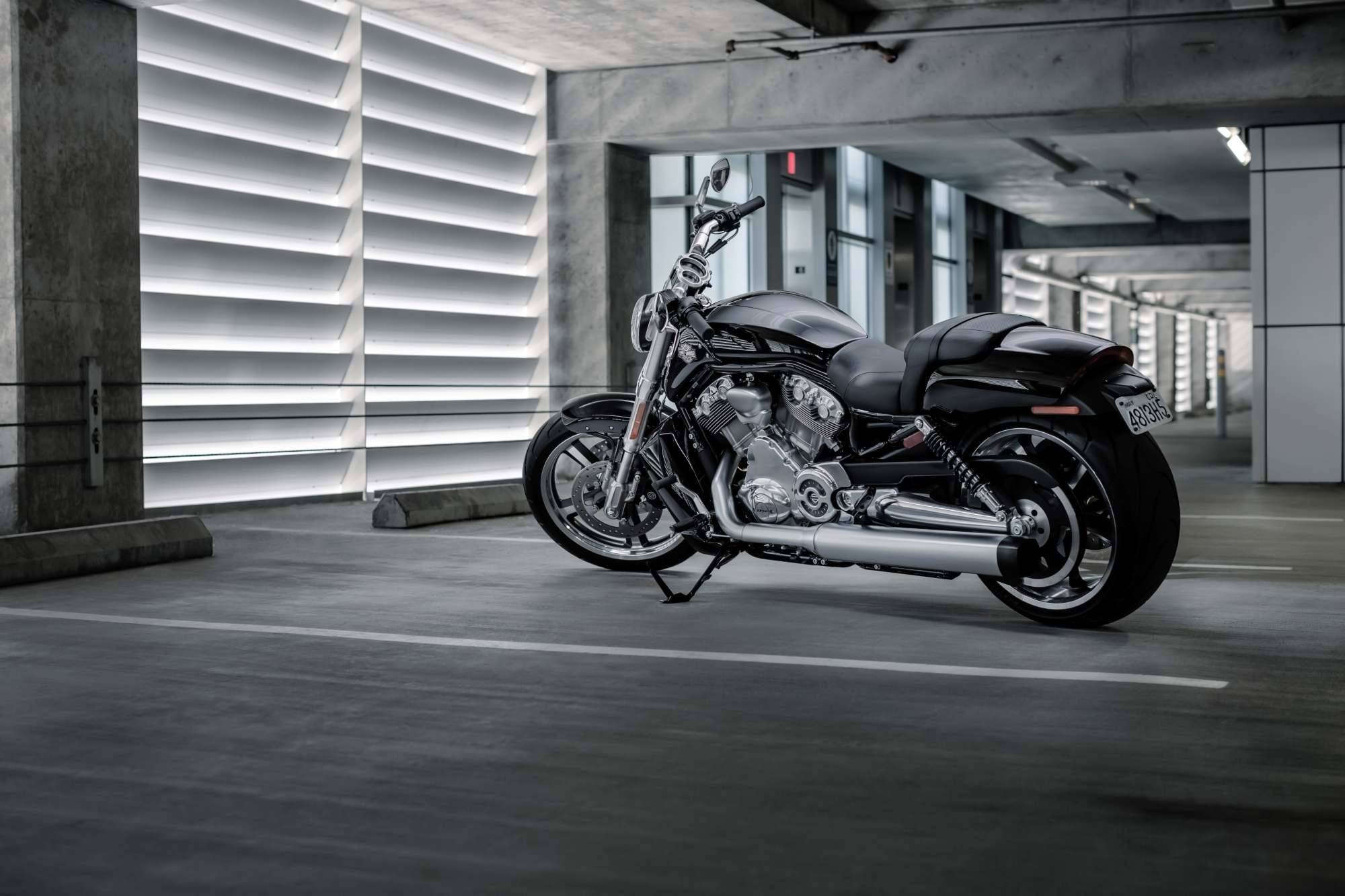 2017 harley-davidson v-rod muscle buyer’s guide | specs & price