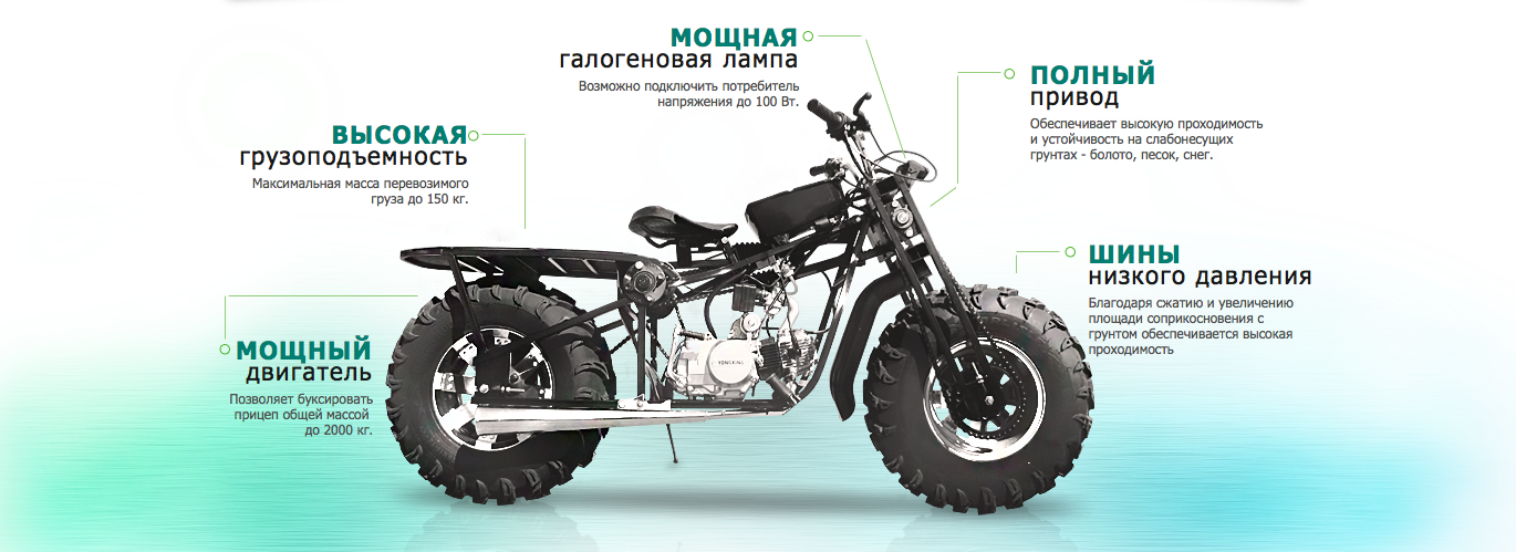 Квадроцикл для охоты и рыбалки: обзор популярных моделей