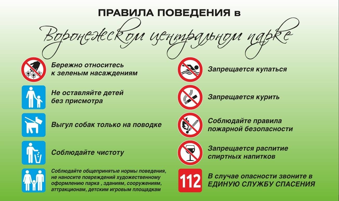 Как делается чистка автомобильных салонов профессионально