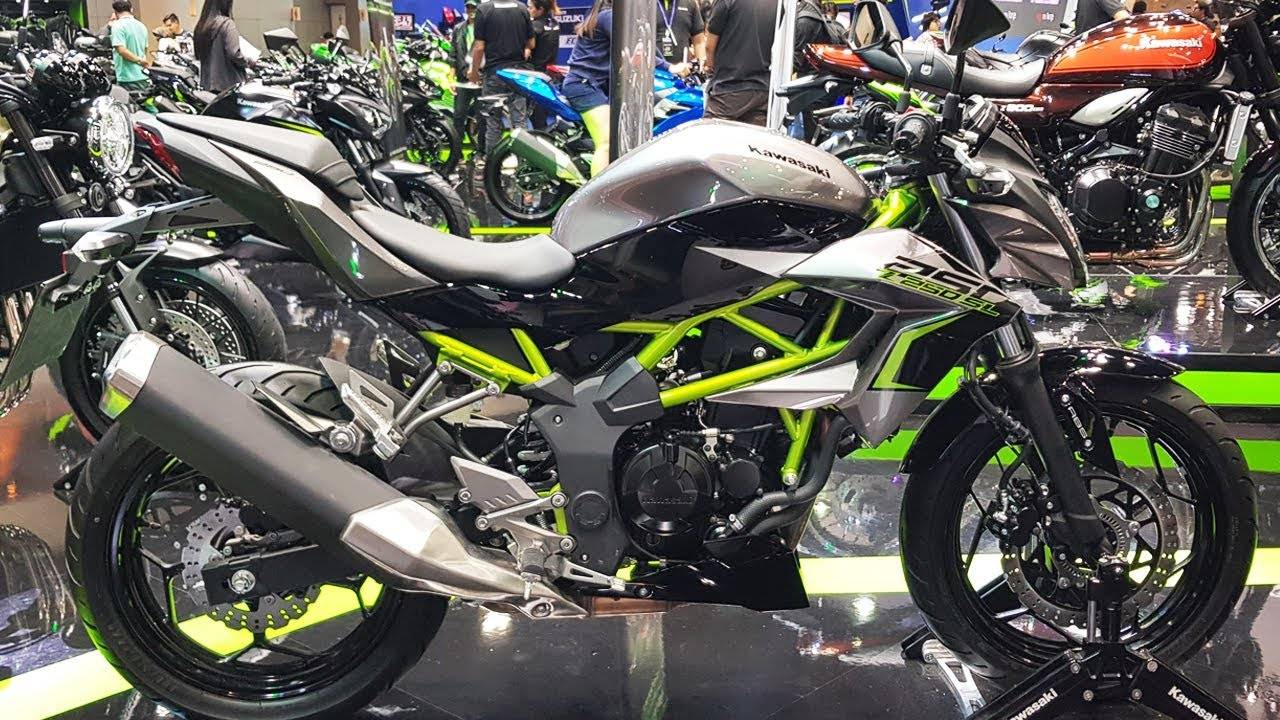 Обзор kawasaki zzr 250 – необычный спортивно-туристический вариант мотоцикла