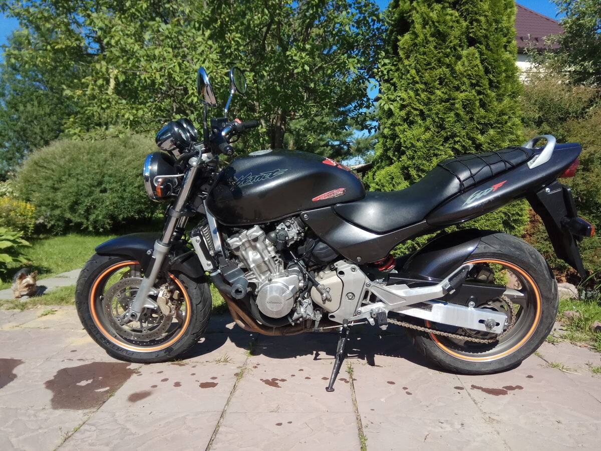 Обзор мотоцикла honda cb 600 f hornet — bikeswiki, энциклопедия японских мотоциклов