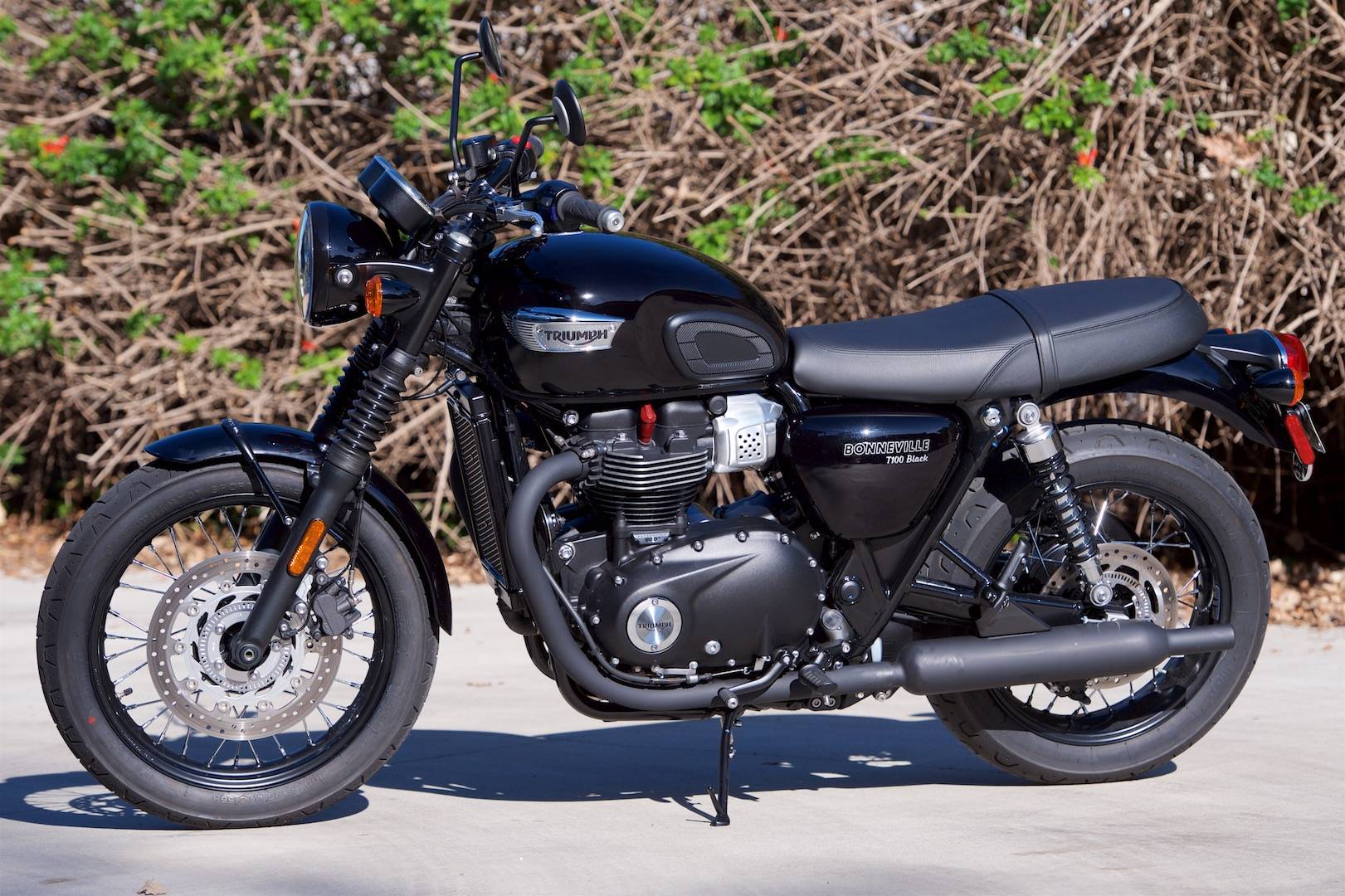 Triumph bonneville