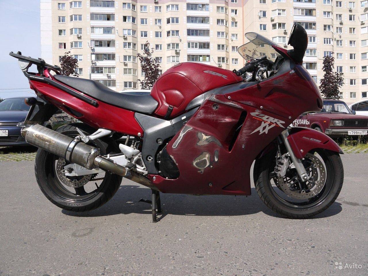 Honda cbr1100xx super blackbird (1996-2007): review & buying guide