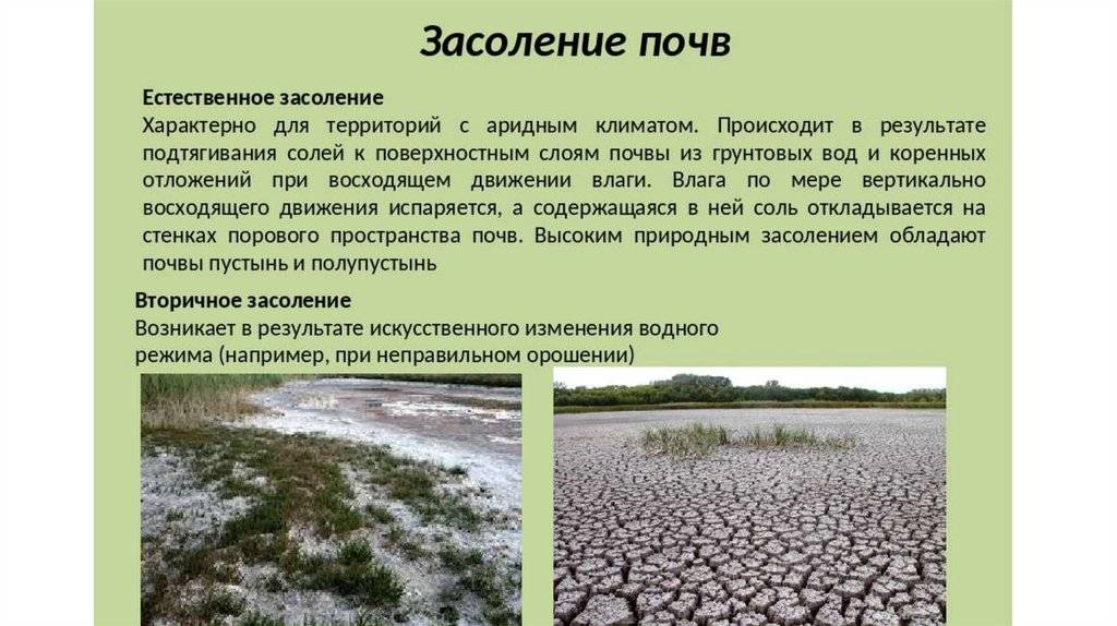 Химчистка салона автомобиля самостоятельно своими руками, пошаговая инструкция