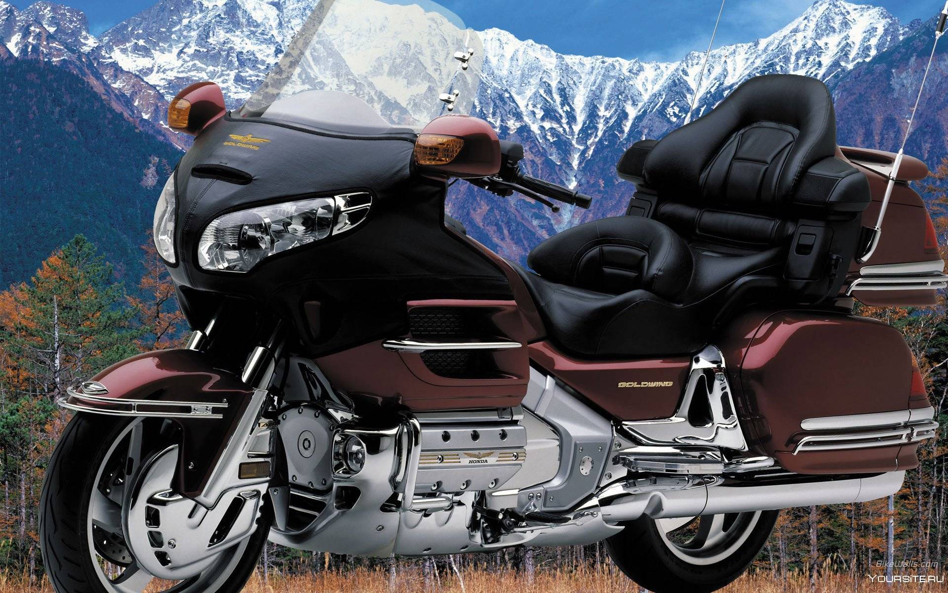 Мотоцикл honda gl 1800 gold wing abs 2009: объясняем во всех подробностях