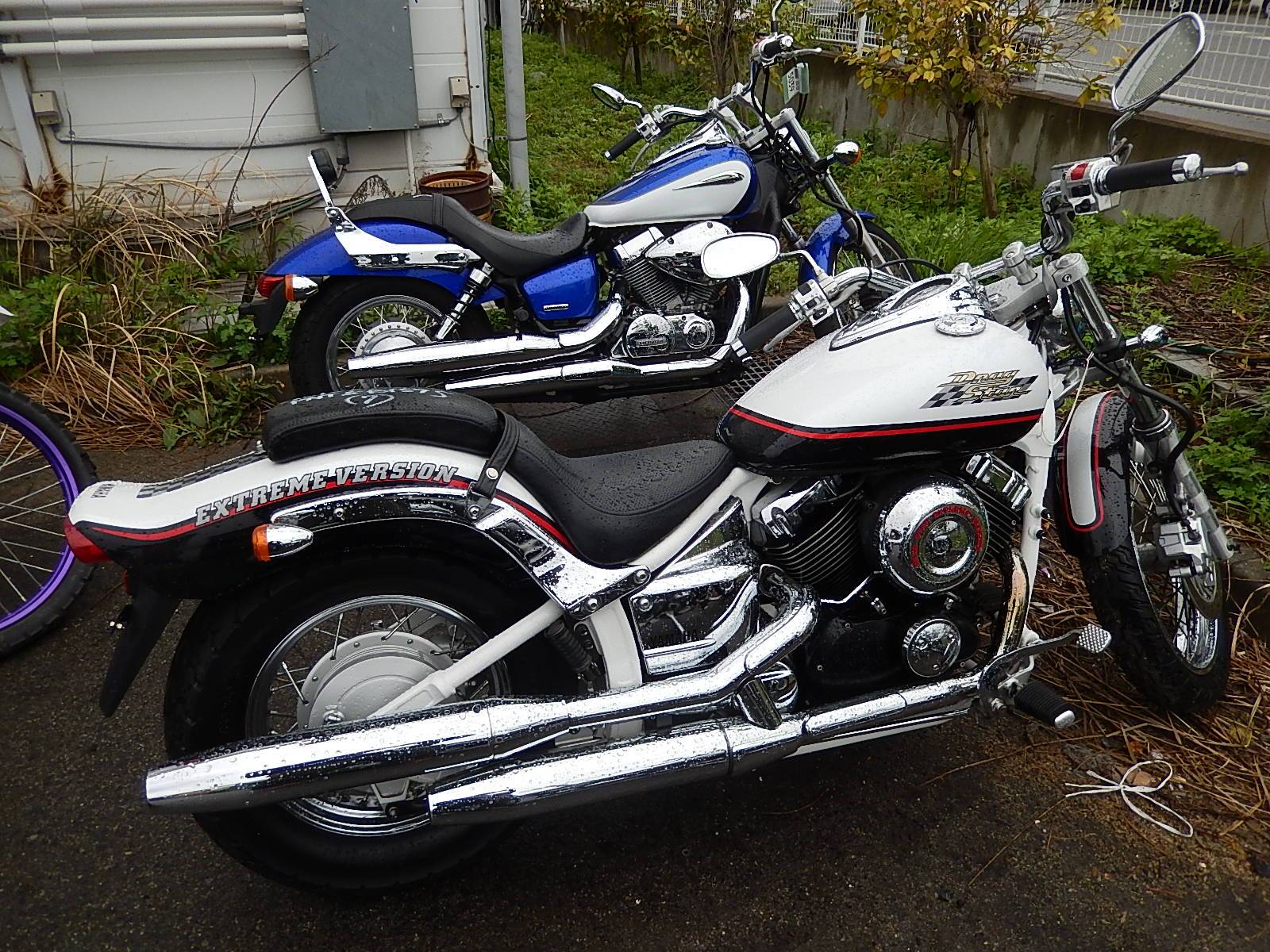 Petrovich rfmcc: yamaha star raider xv1900