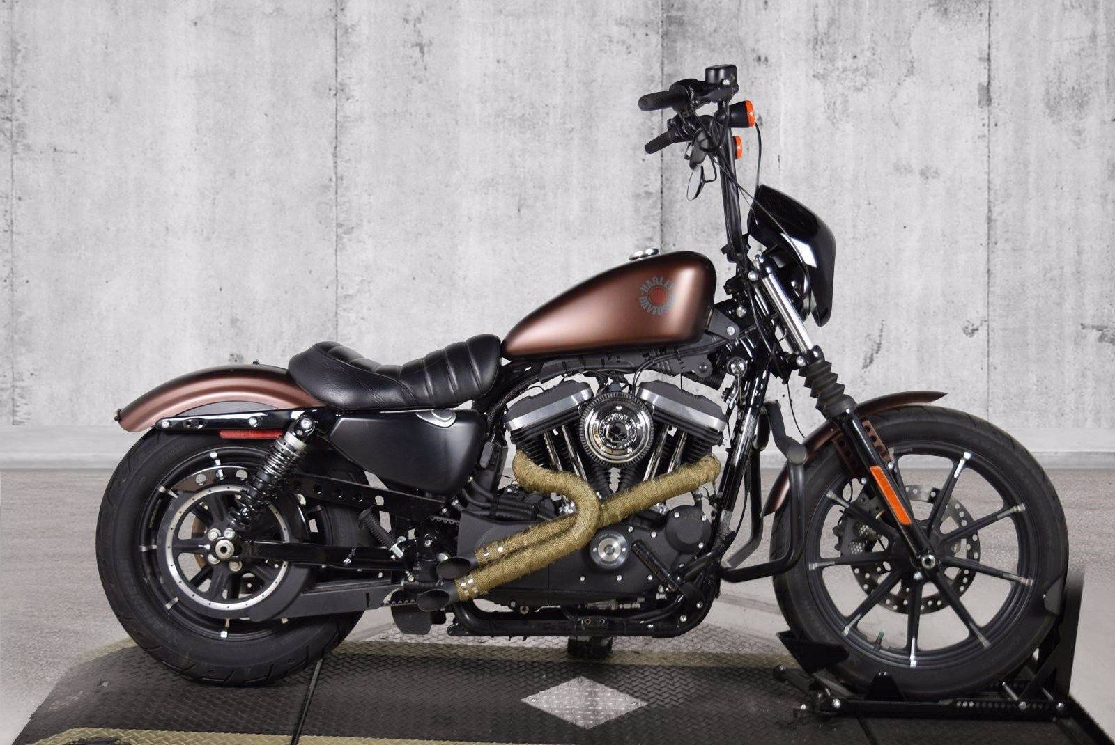 Harley-davidson sportster 883 (1993 - 2015) review | mcn