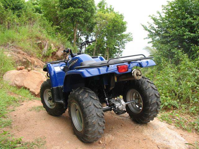Квадроцикл Yamaha Grizzly 350 AUTOMATIC 4X4 (4wd)