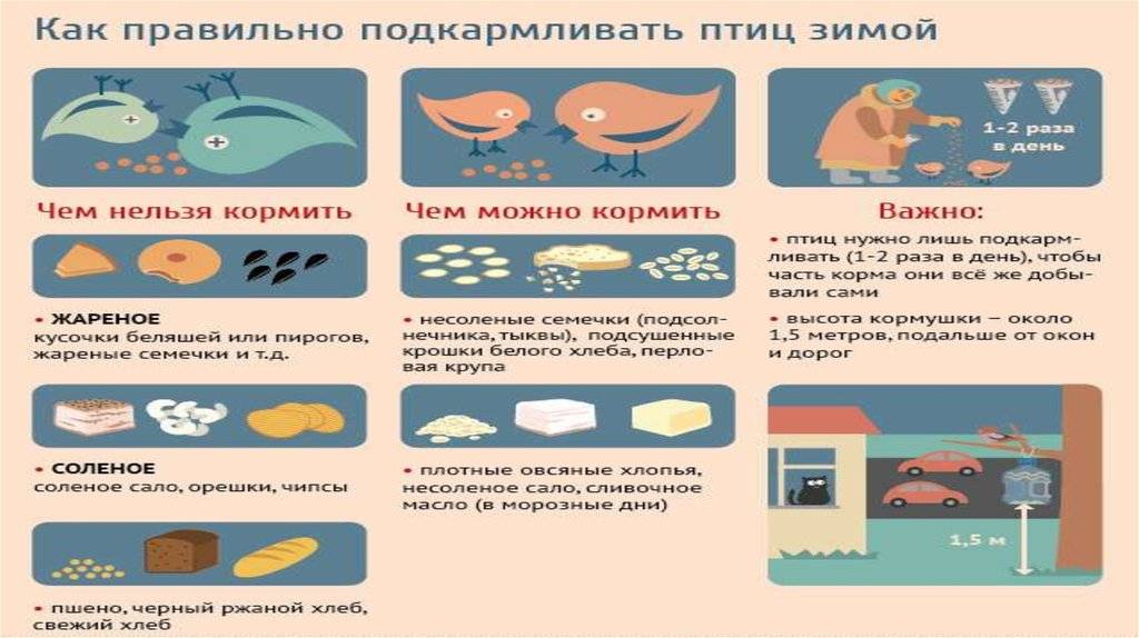 ✅ как правильно хранить скутер зимой - велосипеды-саранск.рф