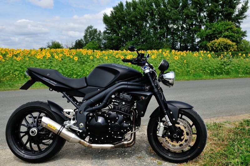 Triumph speed triple explained