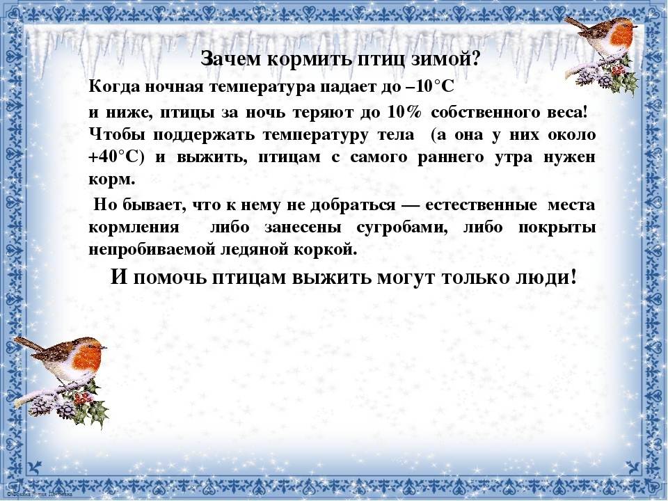 Что Такое База И Почему Она Кормит