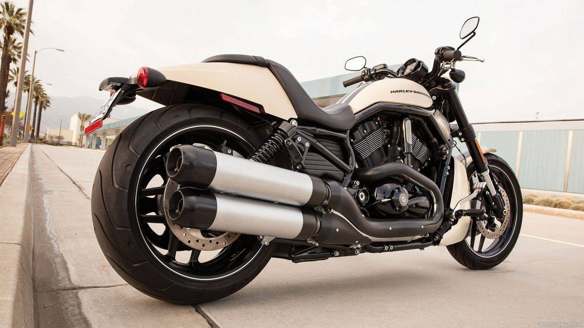 Harley davidson v rod (muscle, custom): обзор и технические характеристики