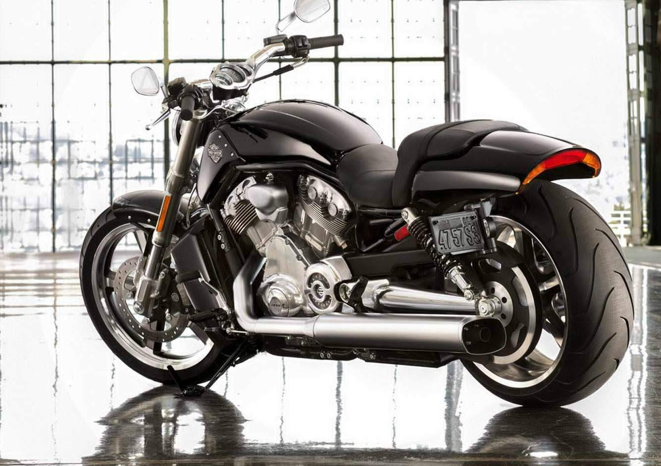 Harley-davidson 2009 v-rod muscle review