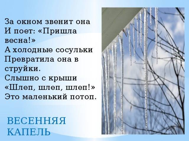 У природы нет плохой погоды: прогноз на 2024 год в россии