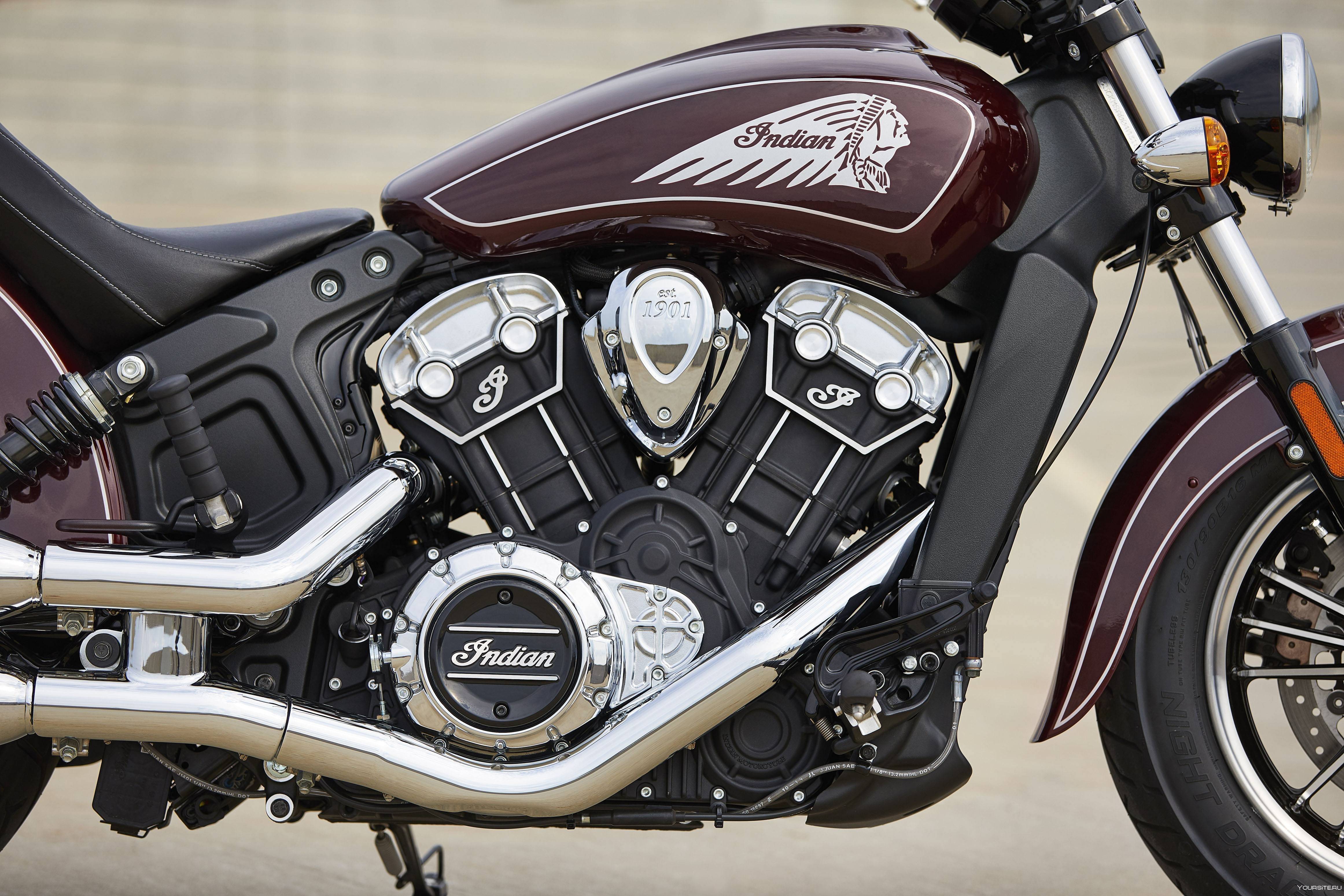 Indian® scout®